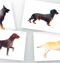 Hunde #1